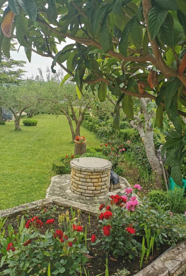 Casa vacanze Nicole *