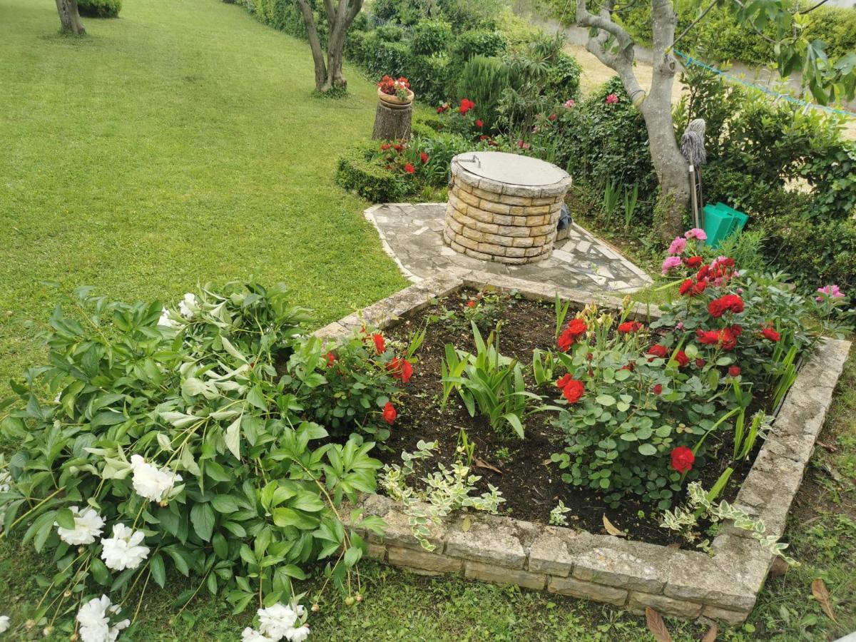 Casa vacanze Nicole