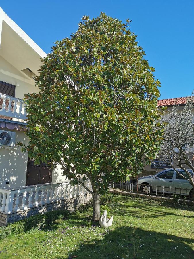 Nicole Holiday home